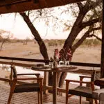 Dine on the observation deck overlooking a waterhole.