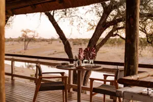 Dine on the observation deck overlooking a waterhole.