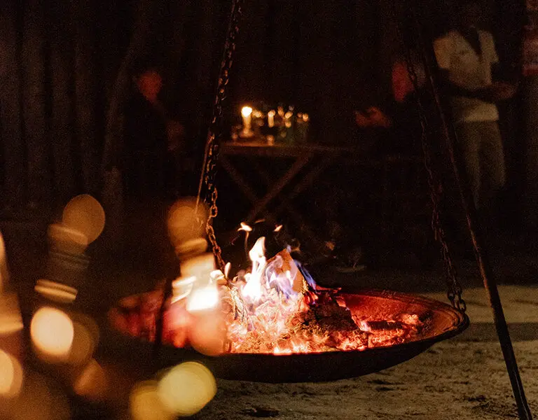 Nothing like an evening around the fire, serenaded by the sounds of the bush at night.