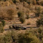 Game drives in open-sided game viewing vehicles.