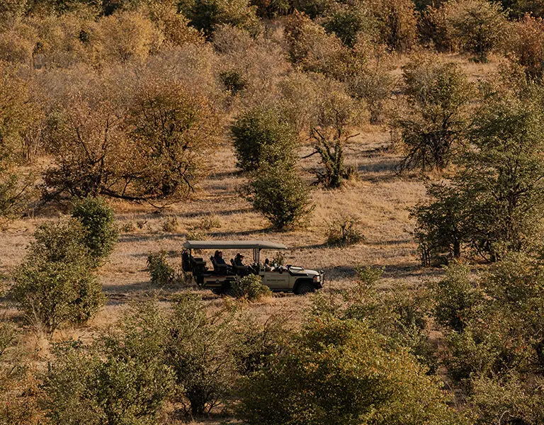 Game drives in open-sided game viewing vehicles.