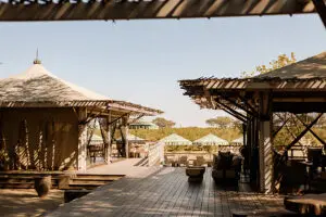 The aesthetic main lodge area at Savute Elephant Lodge.