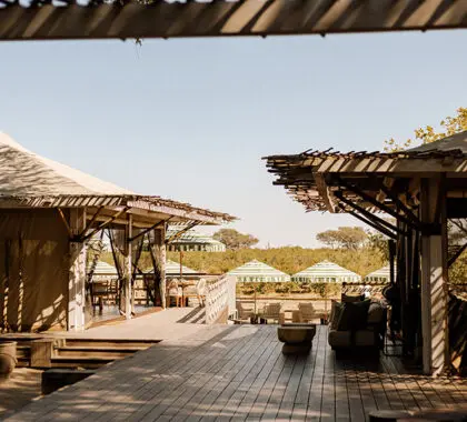 The aesthetic main lodge area at Savute Elephant Lodge.