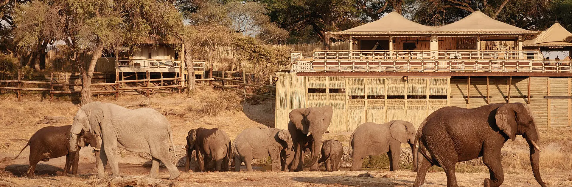 Belmond-Savute-Elephant-Lodge-banner