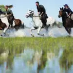 An incredible and rare experience to ride in the Delta.