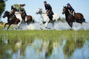 An incredible and rare experience to ride in the Delta.
