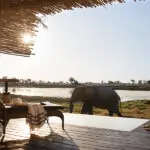 Swim in the afternoon sun as wildlife passes by.