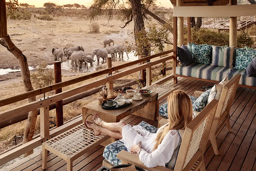 The observation deck overlooking a waterhole.