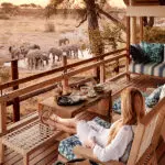 Observation deck overlooking waterhole. 