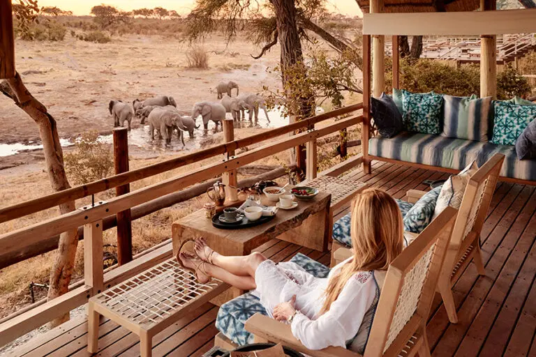 Observation deck overlooking waterhole. 