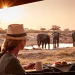 Belmond Savute Elephant Camp is best known for fantastic year-round game viewing.