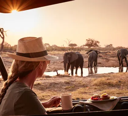 El Belmond Savute Elephant Camp es conocido por sus fantásticos avistamientos de animales durante todo el año.
