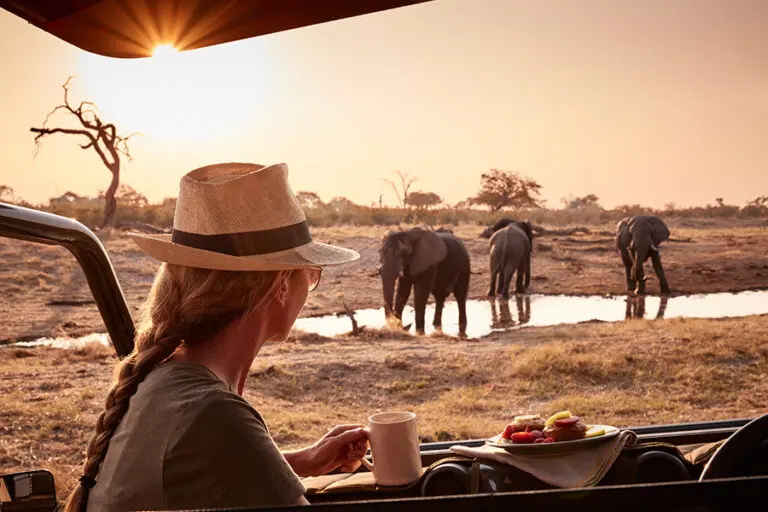 Belmond Savute Elephant Camp is best known for fantastic year-round game viewing.