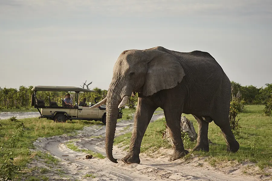 Game drives on offer.