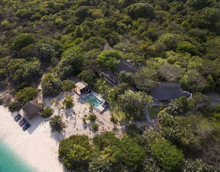 Surrounded by the Mozambiquan island wilderness.