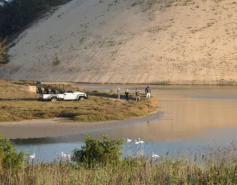 Explore the island beyond the lodge.