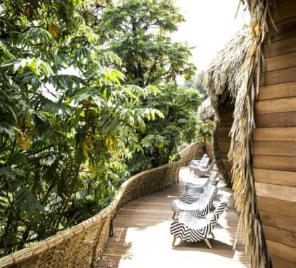 El lodge está rodeado por el exuberante Parque Nacional de los Volcanes.