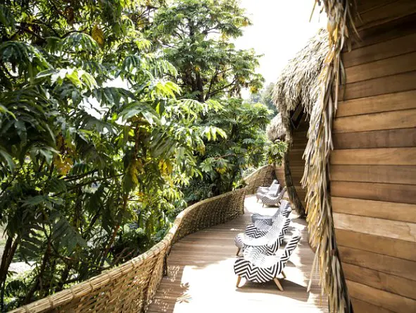 The lodge is surrounded by the lush Volcanoes National Park.
