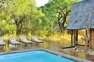 Piscina del Black Rhino Game Lodge.