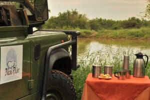 Bebidas en la sabana durante un safari.