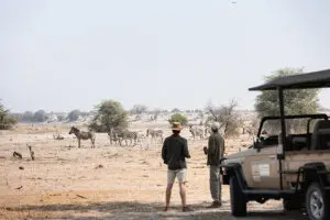 Stop for a cuppa on your game drive.
