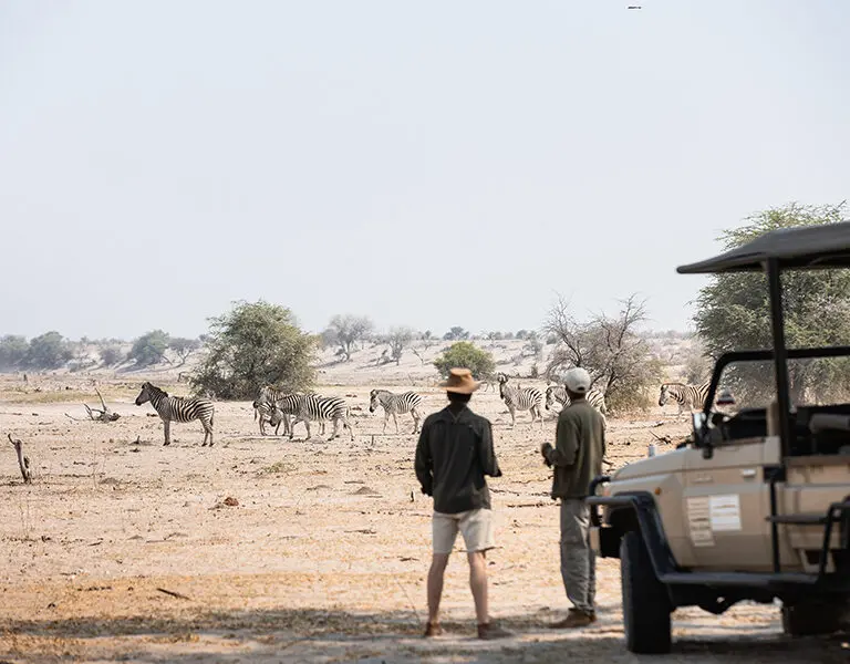 Stop for a cuppa on your game drive.