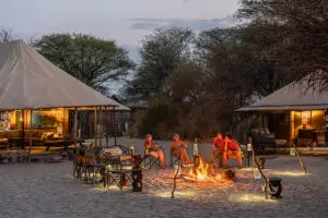 A cosy fire under the African sky. 