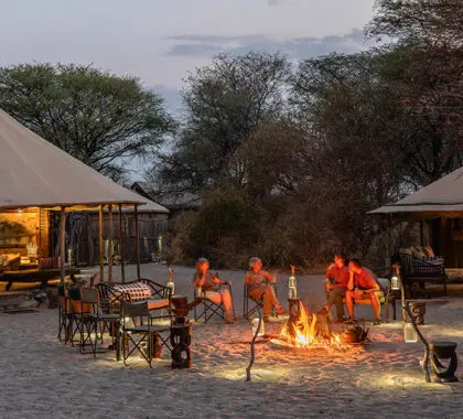 A cosy fire under the African sky. 