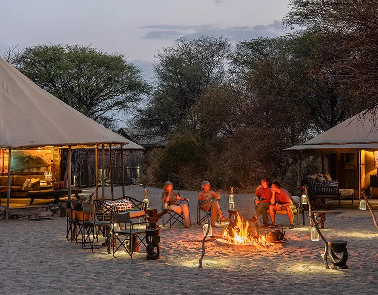 A cosy fire under the African sky. 