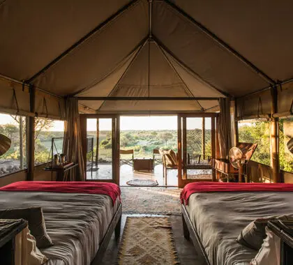 Guest Tent interior.