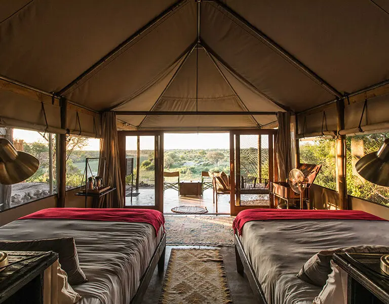 Guest Tent interior.