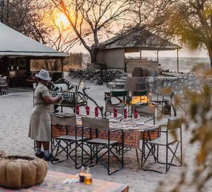 bots_meno-a-kwena_outdoor-dining-2