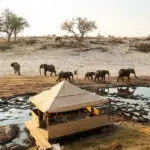 Meno a Kwena has a hide on the river perfect for relaxed game viewing, fishing, and even sundowners.