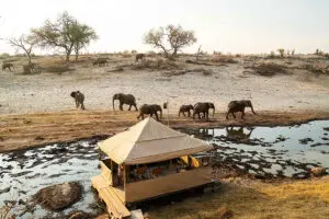 Meno a Kwena has a hide on the river perfect for relaxed game viewing, fishing, and even sundowners.
