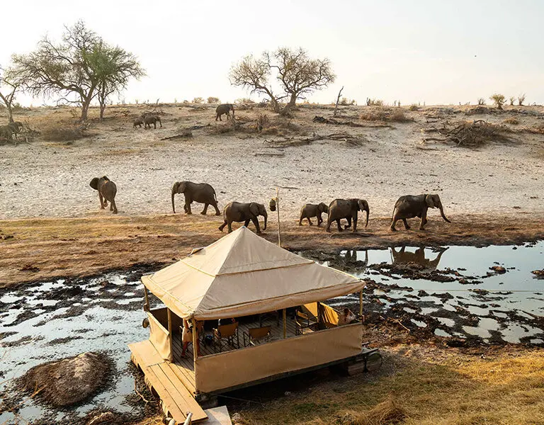 Meno a Kwena has a hide on the river perfect for relaxed game viewing, fishing, and even sundowners.
