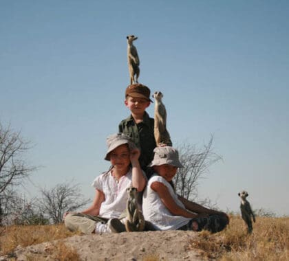 Lleve a los niños a uno de los campamentos del Kalahari de Botsuana y podrían acabar siendo la percha de vigilancia de unos simpáticos suricatos.