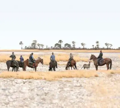 Si a su familia le encanta montar a caballo, elija un campamento de Botsuana que ofrezca safaris a caballo: aventura garantizada.