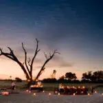 Prepárese para lo inesperado en su safari de lujo: su safari vespertino podría convertirse en una cena a la luz de las velas bajo las estrellas.