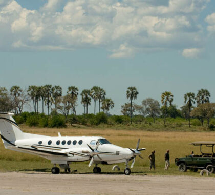 Botswana Luxury Safari