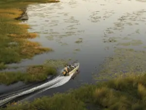 Salga a explorar el delta del Okavango en lancha motora, ideal en combinación con safaris en 4x4.
