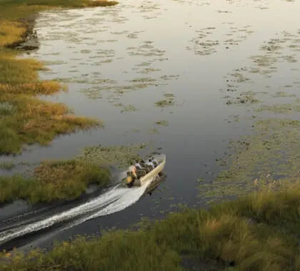 Salga a explorar el delta del Okavango en lancha motora, ideal en combinación con safaris en 4x4.