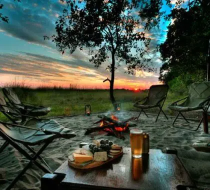 Botswana Luxury Safari