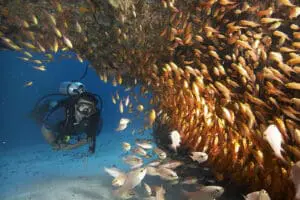 Buceo.