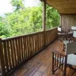 Puede sentarse en un balcón con prismáticos y avistar aves desde el campamento; en la selva de Bwindi viven unas 350 especies.