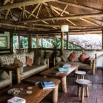 Los libros de consulta y los cómodos muebles hacen del salón un lugar ideal para leer sobre la fauna local.