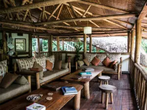 Los libros de consulta y los cómodos muebles hacen del salón un lugar ideal para leer sobre la fauna local.