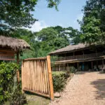 El Buhoma Lodge, uno de los campamentos de trekking con gorilas originales de Uganda, se encuentra en la propia selva de Bwindi.