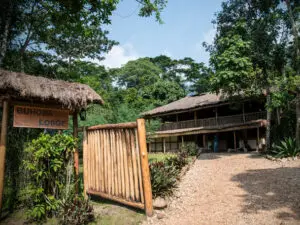 El Buhoma Lodge, uno de los campamentos de trekking con gorilas originales de Uganda, se encuentra en la propia selva de Bwindi.