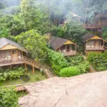 Buhoma Lodge cuenta con 8 cabañas con baño privado, todas ellas rodeadas de exuberante vegetación y con vistas a la selva virgen.