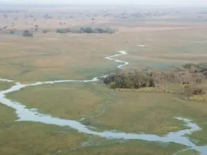Las llanuras de Busanga, consideradas la joya del Parque Nacional de Kafue, albergan una gran riqueza de vida salvaje.